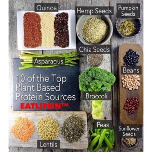 plant-proteins