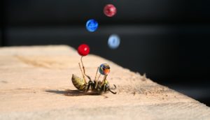 juggling-busy-bee